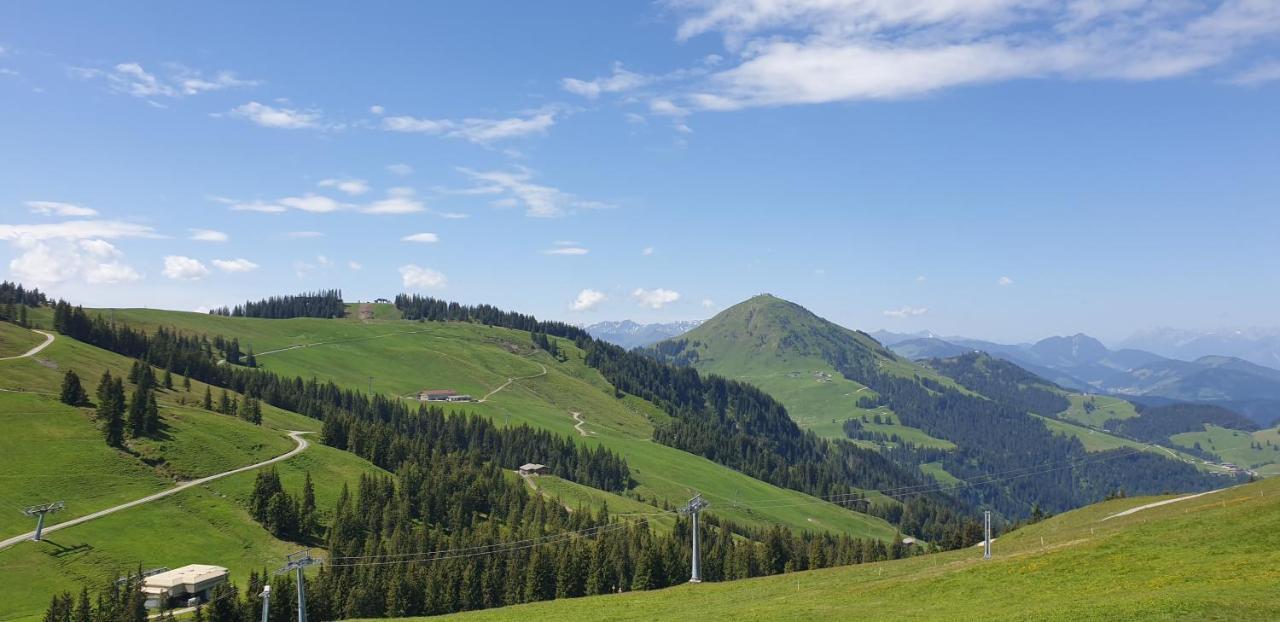 Ferienwohnung Sappl Scheffau am Wilden Kaiser Kültér fotó