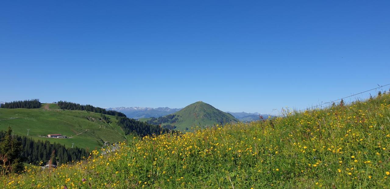 Ferienwohnung Sappl Scheffau am Wilden Kaiser Kültér fotó