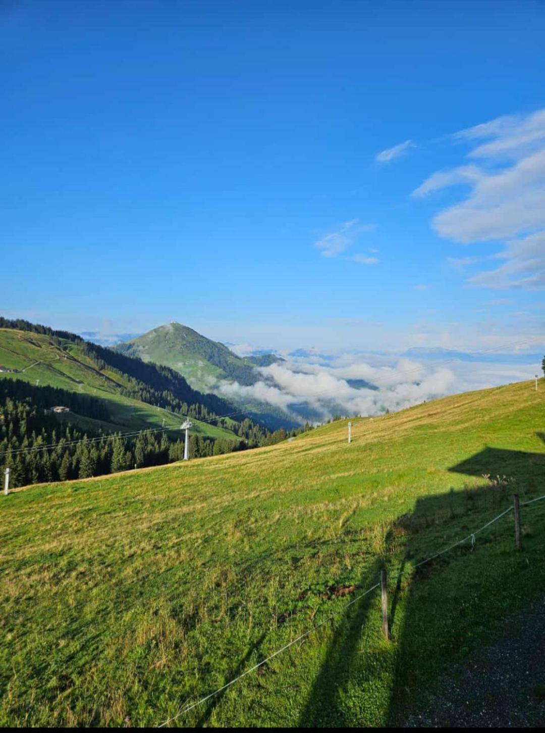 Ferienwohnung Sappl Scheffau am Wilden Kaiser Kültér fotó